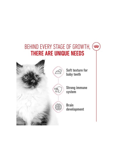Royal Canin Kitten Jelly Pouch Yaş Mama, Yavru Kedi, 85 G X 12 Adet