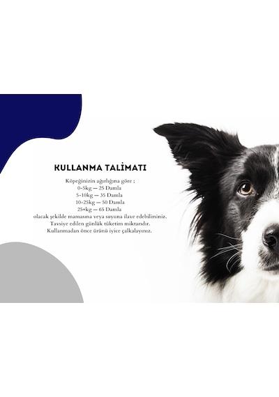 Pet Feed Forte Plus Dogs 100 Ml Köpekler İçin Tüy Sağlığı - Tüy Dökülmesi Önleyici Damla Pet Feed Forte Plus Dogs 100 Ml Köpekler İçin Tüy Sağlığı - Tüy Dökülmesi Önleyici Damla