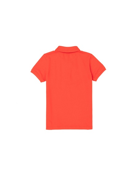 U.S. Polo Assn. Erkek Çocuk Kırmızı Basic Tişört 50279572-VR030