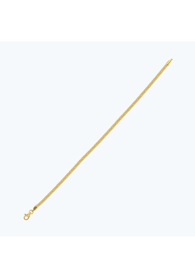Altınbaş 22 Ayar Altın Balık Sırtı Zincir Bileklik Bzcbl0004-25937-1-250mm Çok Renkli