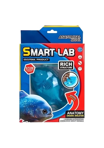 Köpek Balığı Laboratuvar Seti - 802b