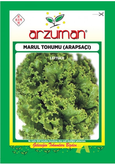 Arzuman Arapsaçı Kıvırcık Marul Tohumu 10 G