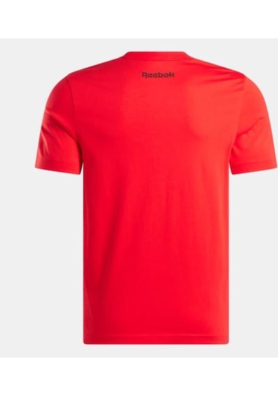 Reebok Basketball T-shırt 100214160 Erkek Tişört Kırmızı S-xxl kırmızı