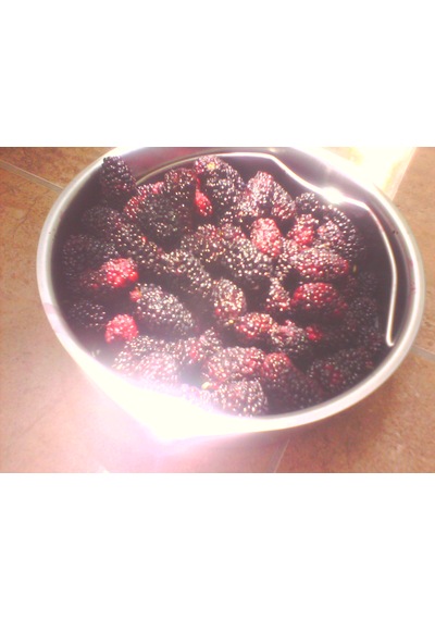 Karadut Marmeladı 400g