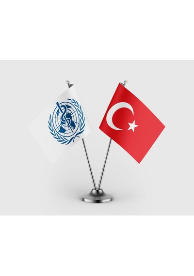 Dünya Sağlık Örgütü Ve Türkiye Bayrağı İkili Saten Masa Bayrağı Takımı Diğer