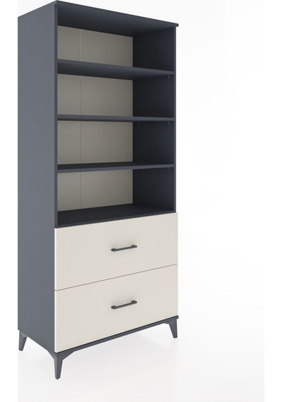 Hyperion Dolap 4 Raflı 2 Çekmeceli 88x44x195 Antrasit-aytaşı Antrasit