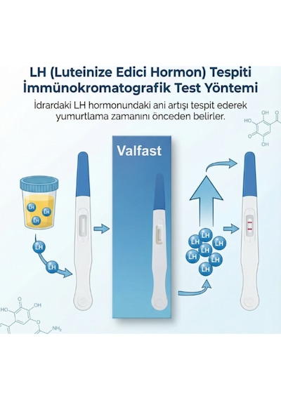 Ovulasyon Doğurganlık Yumurtlama Testi 2 Kutu 10 Adet Kalem Test