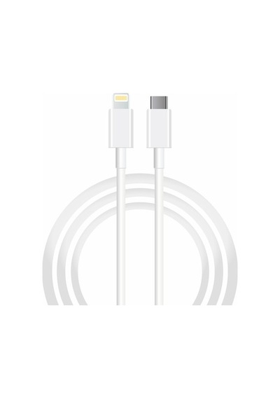 Winex Sx251M 3A 45W Type-Cto Lightning 1M Data Hızlı Şarj Kablosu