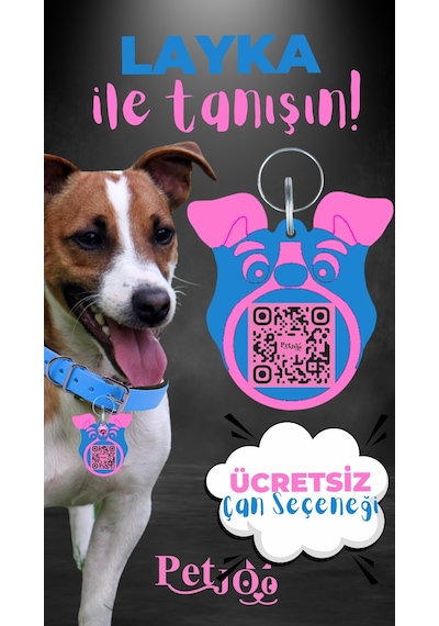 Petjoo 22.Layka Pembe-Mavi Qr'lı Köpek Künyesi