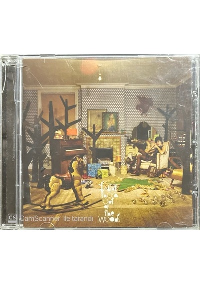 Plak Değildir Cd Dir Cd Tracey Thorn Out Of The Woods Cd