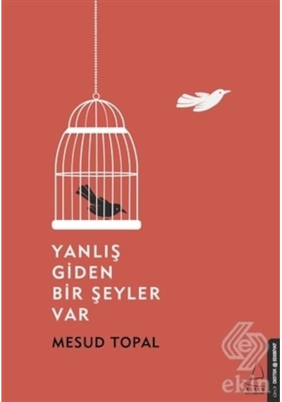 Yanlış Giden Bir Şeyler Var-Mesud Topal