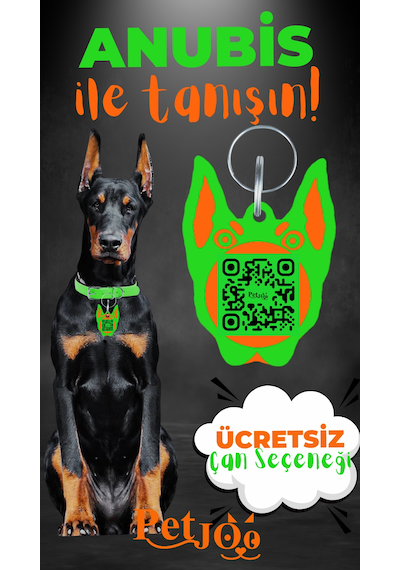 Petjoo 30.Anubis Turuncu-Yeşil Qr'lı Köpek Künyesi