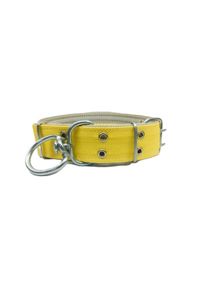 İri Ve Büyük Cinsler İçin Kanğal Köpek Tasması 80x5 Cm Sarı