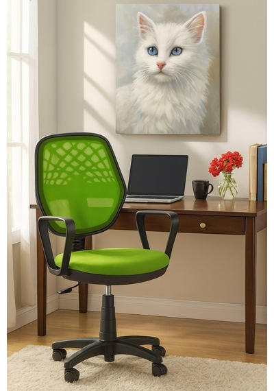 Ofis Koltuğu, Büro Koltuğu, Berjer ,çalışma Sandalyesi, Oyuncu Koltuğu, Ofis Sandalyesi Yeşil Ofis Koltuğu, Büro Koltuğu, Berjer ,çalışma Sandalyesi, Oyuncu Koltuğu, Ofis Sandalyesi Yeşil