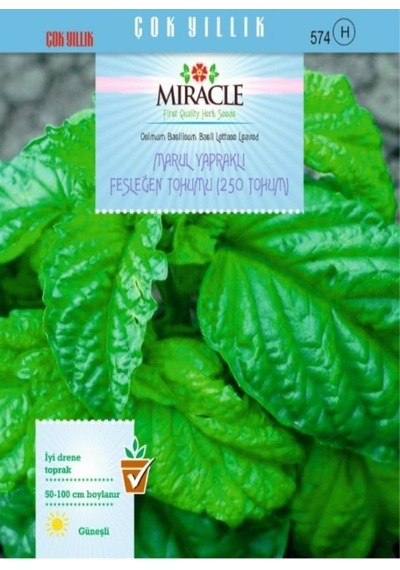 Miracle Marul Yapraklı Fesleğen Tohumu 250 Tohum