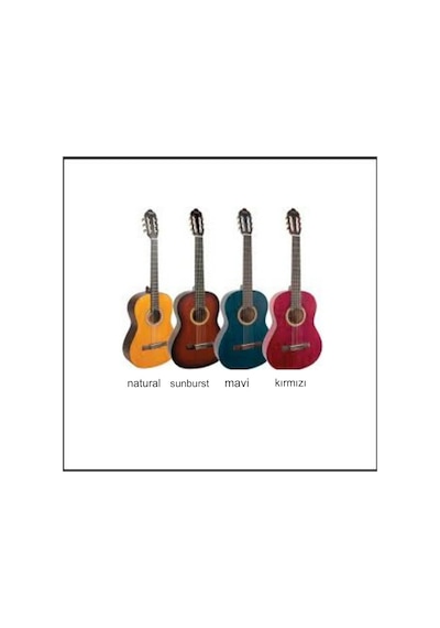 Valencia Vc204 4/4 Klasik Gitar + Kılıf + Pena + Akort Cihazı Mavi
