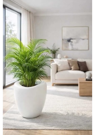 Plastik Modern Saksı, İç Ve Dış Mekan, 42x45 Cm, Beyaz, Yuvarlak, 25.5 L Diğer
