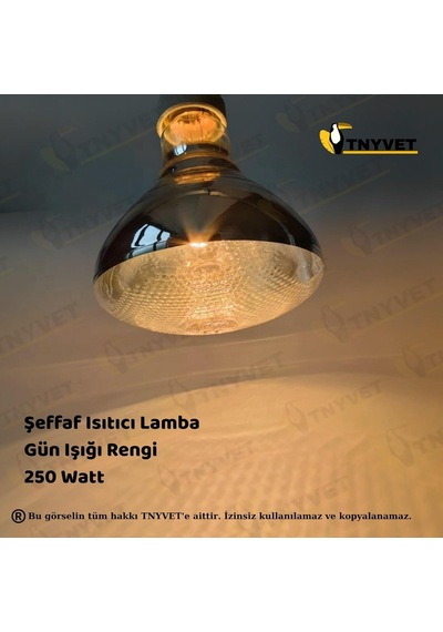 Tnyvet Isıtıcı Lamba Şefffaf Renk 250 Watt + E27 Seramik Duy+2m Fişli Kablo Kullanıma Hazır Set Diğer