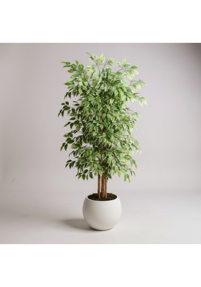 Yapay Ficus Ağaç 150 Cm Beyaz Küre Saksı Yeşil