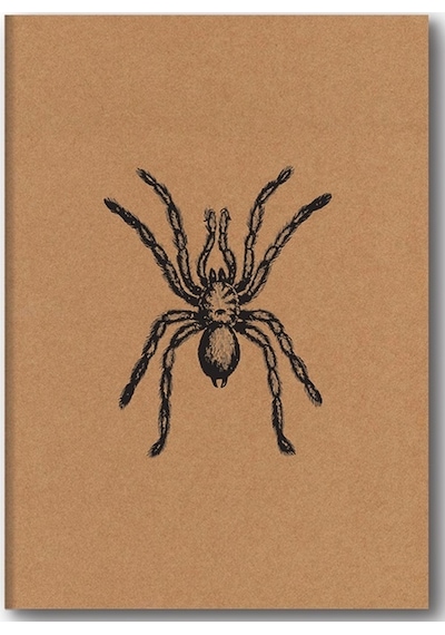Kraft Defter Düz Örümcek