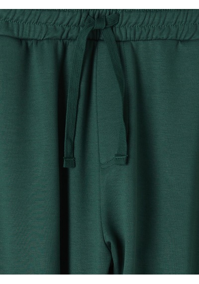 LC Waikiki Lc Waıkıkı Yeşil Regular Fit Erkek Pijama Alt Şort
