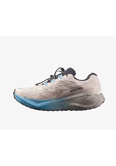 Salomon Aero Blaze 4 Grvl Gtx Erkek Outdoor Koşu Ayakkabısı L45403300 Bej