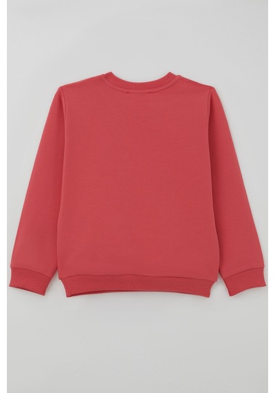 Breeze Kız Çocuk Sweatshirt Dostluk Temalı Sevimli Hayvancıklar Baskılı 1.5-5 Yaş , Mercan Breeze Kız Çocuk Sweatshirt Dostluk Temalı Sevimli Hayvancıklar Baskılı 1.5-5 Yaş , Mercan