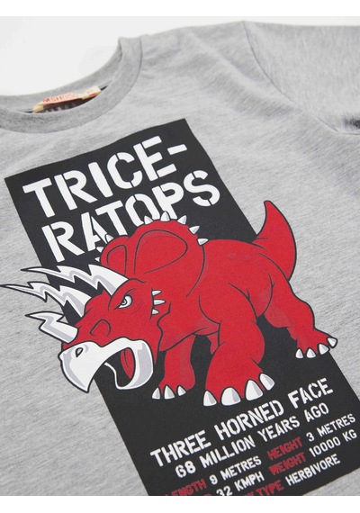 Triceratops Erkek Çocuk T-shirt Kapri Şort Takım