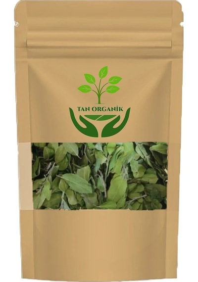 Sidr Sidir Arabistan Kirazı Ağacı Yaprağı 25 Gr