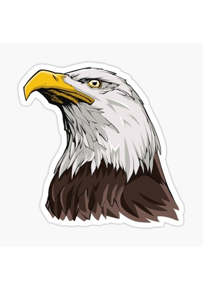 Araba Için Kartal Oto Sticker Yapıştırması Etiket 17Cm S2