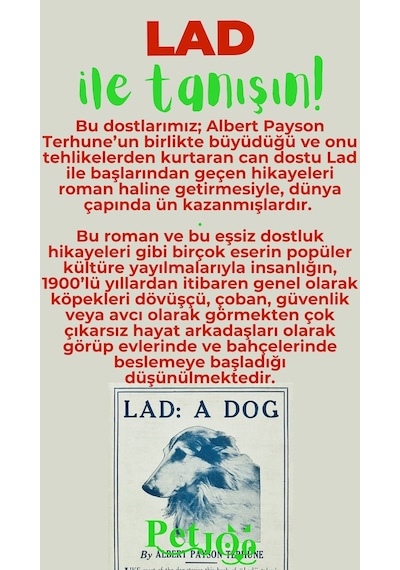 Petjoo 23.Lad Yeşil-Kırmızı Qr'lı Köpek Künyesi