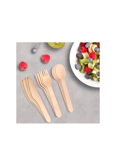 Gizpak Tahta Kullanat Çatal 100'lü 16cm Diğer