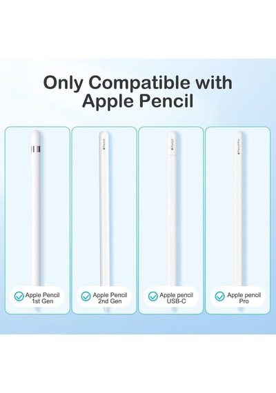 Apple Pencil Uyumlu Yedek Kalem Uçları 6 Lı Set Özel Taşıma Kutulu Pembe