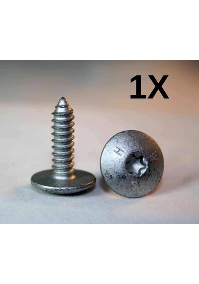 Bmw Torx Civatası Isa St6,3x21 Çamurluk Panel 41358203482 Orj. 1 Adet