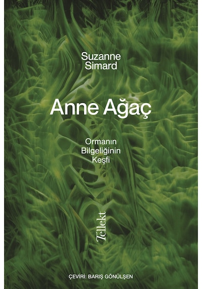 Anne Ağaç 9786257118842