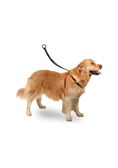 Karlıe - 419 - Easy Walker Göğüs Tasma 40 58 - Csmo-tex - Cm Large Çok Renkli