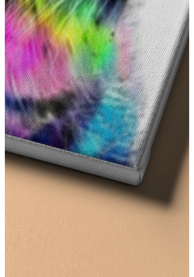 Webstyle Sayılarla Boyama Seti Kasnaklı Tatlı Pisicik 40 X 50 Cm