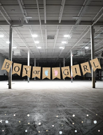 Cinsiyet Partisi Banner Jüt Görünümlü Boy Girl 10 Bayraklı 150cm Diğer