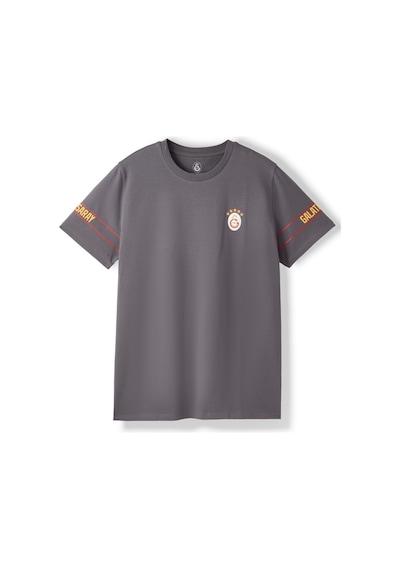 Gsstore Galatasaray Erkek T-shirt E252096 Antrasit