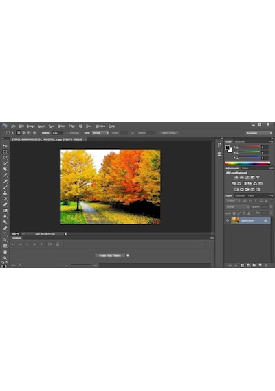 Adobe Photoshop Cc 2020 Dijital Lisans (Türkçe & Ingilizce ) (432520114)