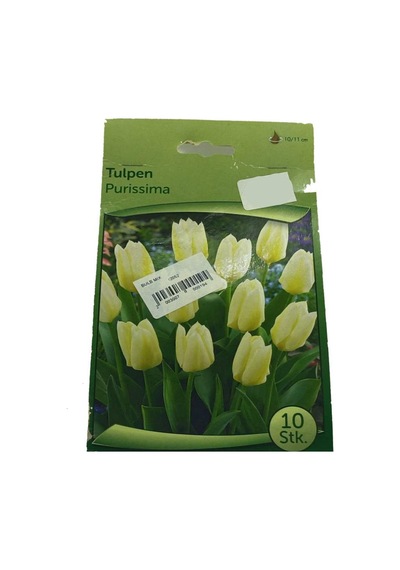 Tulipa - Lale Soğanı