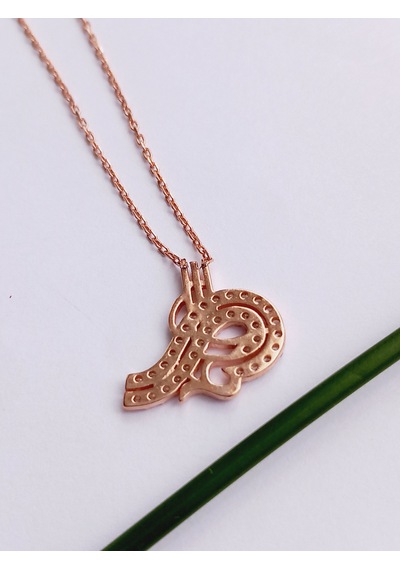 Gümüş Zirkon Taşlı Gold Osmanlı Tuğrası Trend Kadın Kolye Öğretme