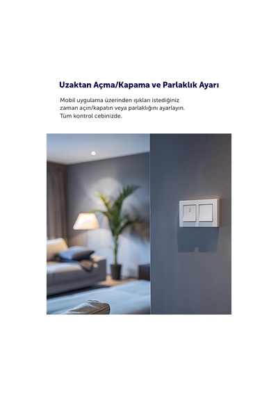 Akıllı Wi-fi Dimmer Mini Anahtar