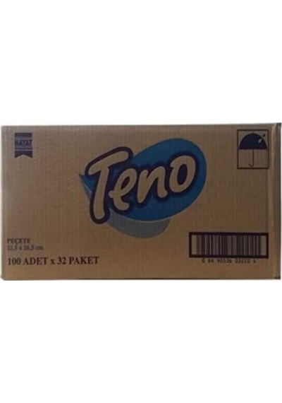 Teno Peçete 100 'Lü 32 Paket