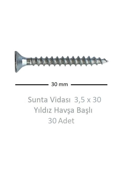Adilon Sunta Vidası 3.5 x 030 30'Lu