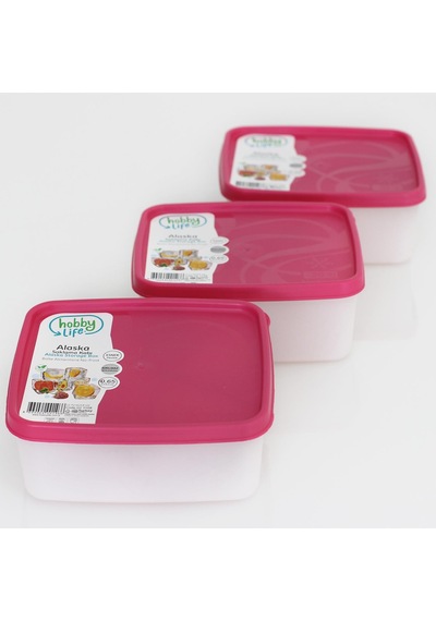 Hobby Life Alaska Nofrost Saklama Kabı 065 Litre 3'Lü Fuşya N1117496 Çok Renkli