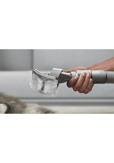 Dyson Evcil Hayvan Bakım Seti