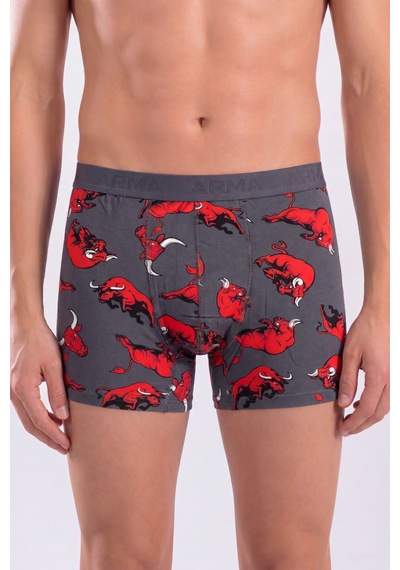 Arma Yıldız 6'lı Paket Erkek Desenli Boxer Pamuklu Likralı Esnek Kumaş DESENLİ