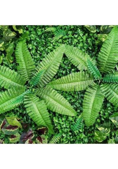 Yapay Çiçek Cycas Aşk Merdiveni Eğrelti Otu Sıkas Bitkisi 7 Dal
