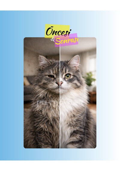 Petpower Tüy Yumağı Önleyici Kedi Maltı 100 G